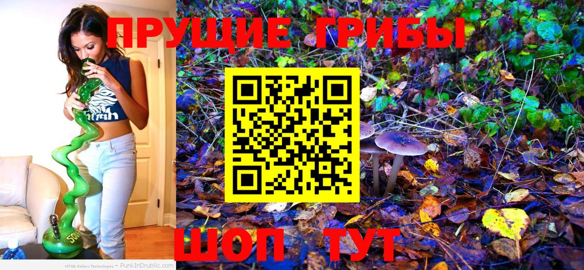 Полысаево  Псилоцибиновые грибы ЛСД  Вход с VPN 